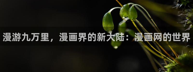 香香漫画官网