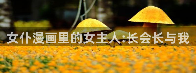 香香漫画怎么下载