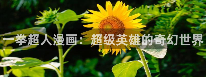 香香漫画库